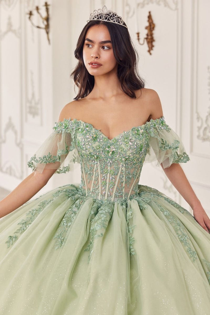 CINDERELLA 15725 DRESS - FOSTANI