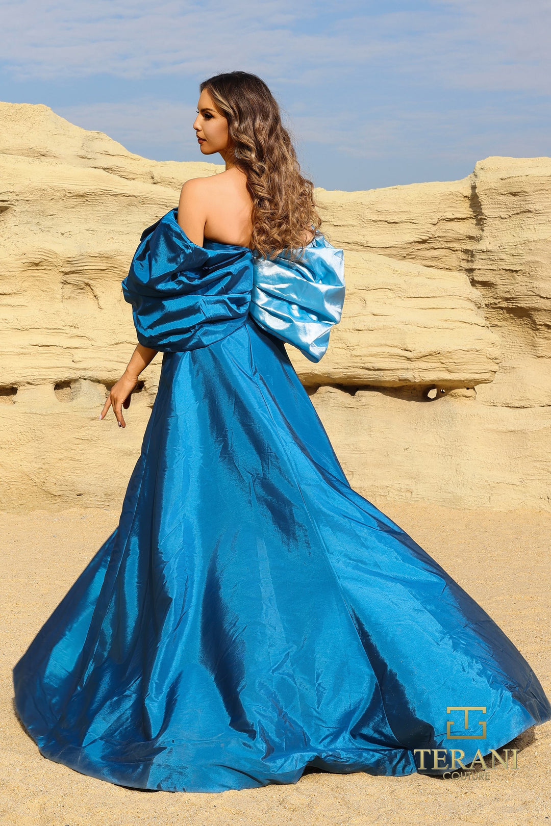 Terani 252E5141 Dress - FOSTANI.com
