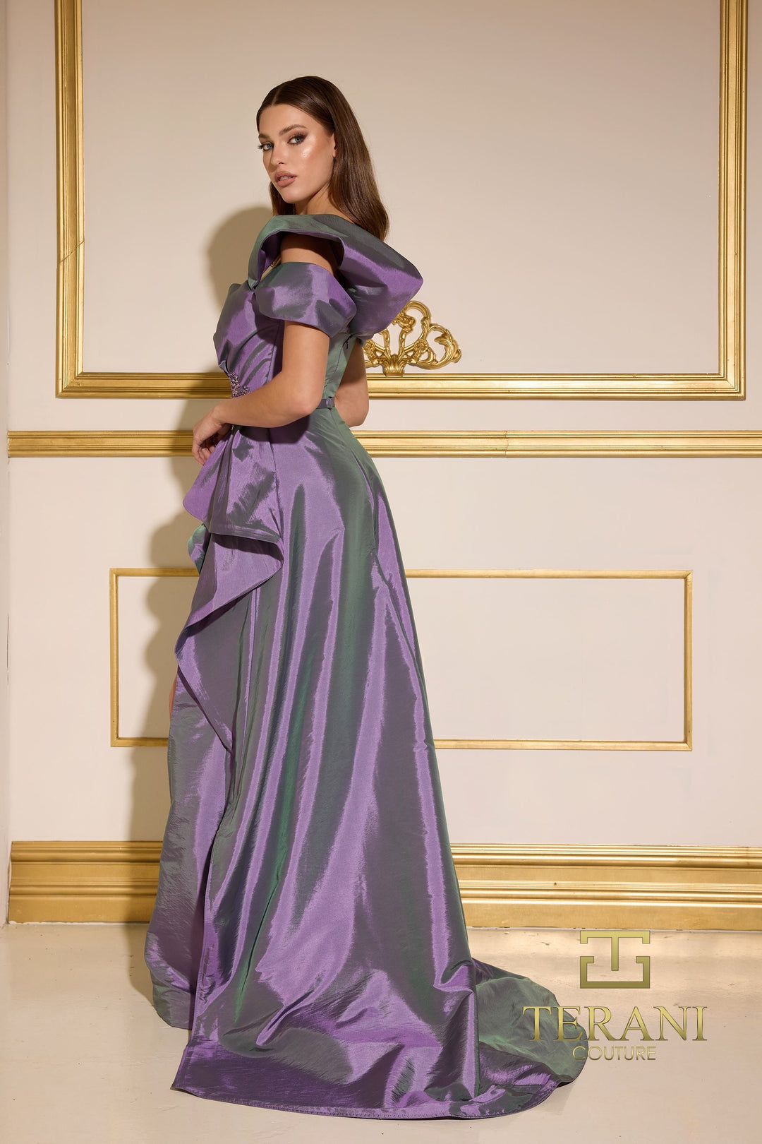 Terani 252E5148 Dress - FOSTANI.com