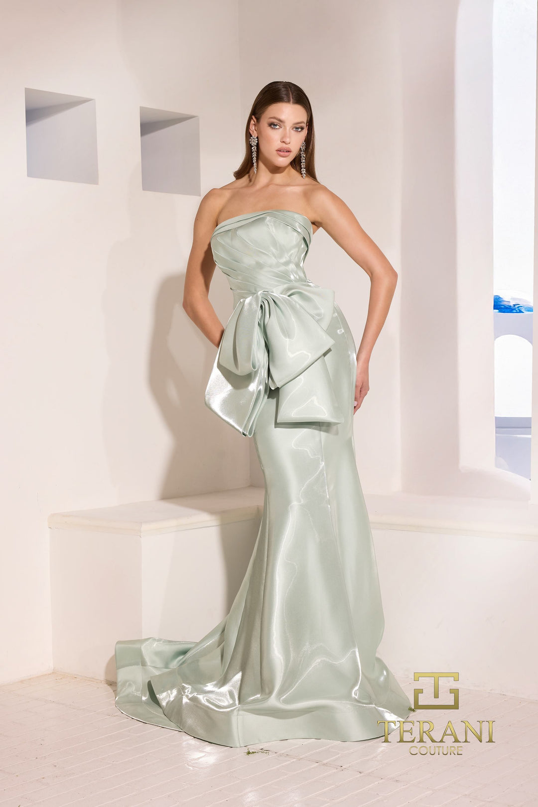 Terani 252E5164 Dress - FOSTANI.com