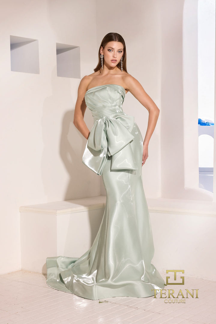 Terani 252E5164 Dress - FOSTANI.com
