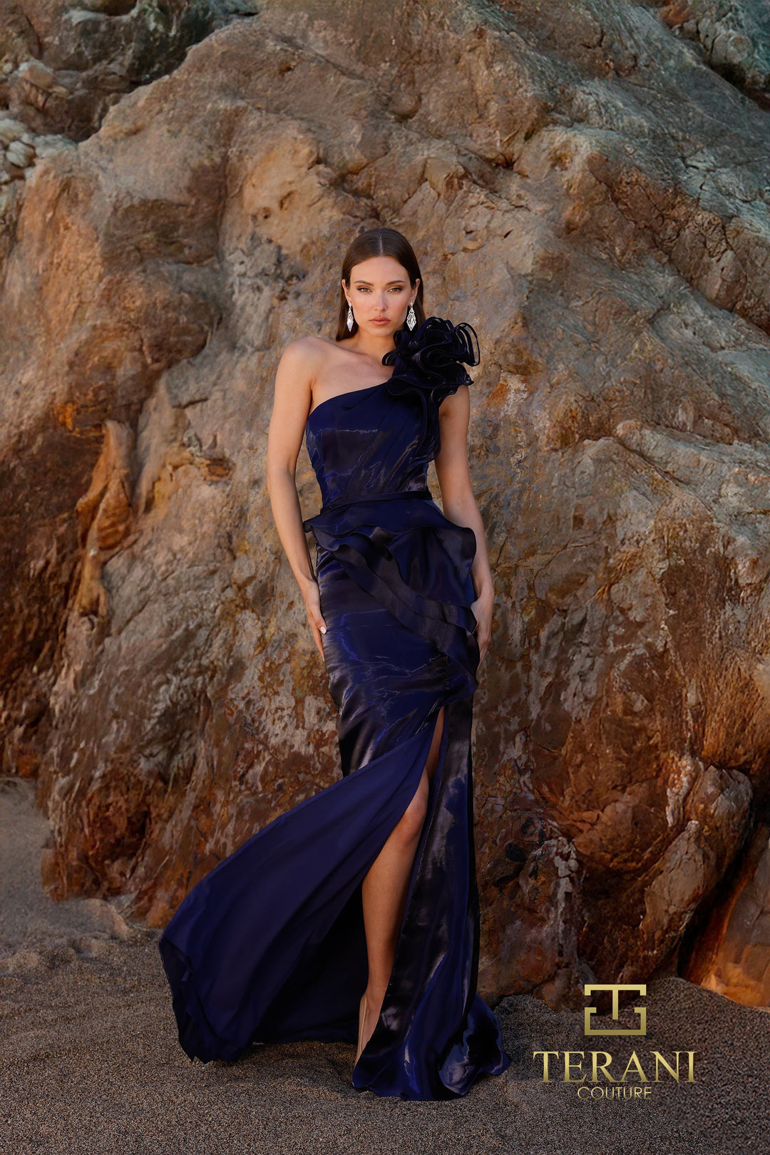 Terani 252E5516 Dress - FOSTANI.com