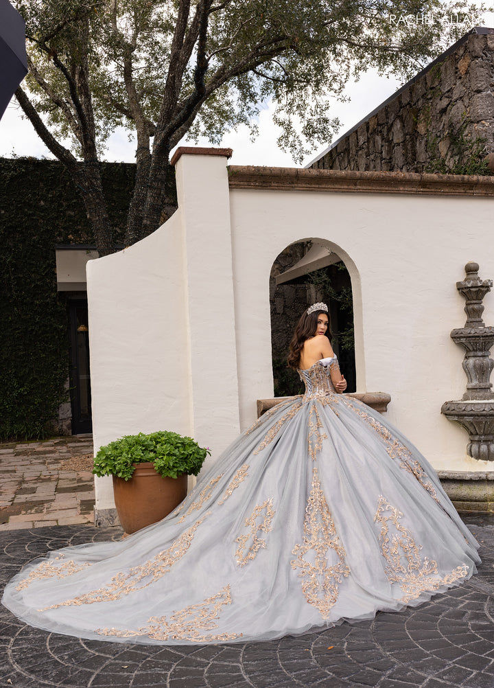 Rachel Allan RQ2230 Dress - FOSTANI.com