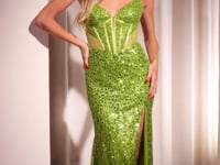Cinderella Divine  CD0227 Dress