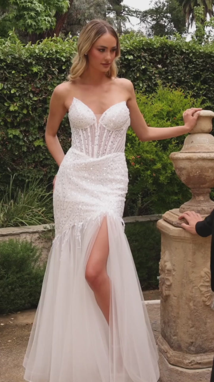 Cinderella Divine CD0215W DRESS