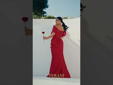 TERANI 241E2413 DRESS