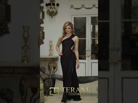 Terani 242E3135 Dress