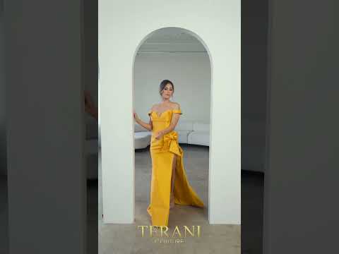 TERANI 241P2017 DRESS