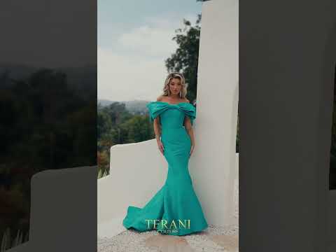 TERANI 241E2407 DRESS