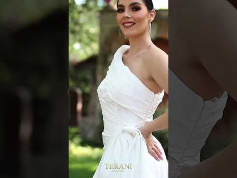 TERANI 232C1134 DRESS