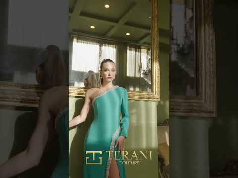 Terani 242E3133 Dress