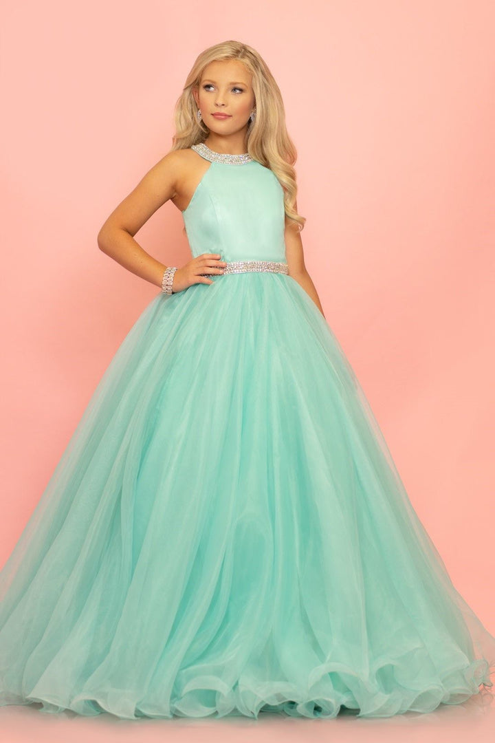 Sugar Kayne C114 Girls A Line Organza Pageant Dress Ballgown Pastel Gown High Neck - FOSTANI